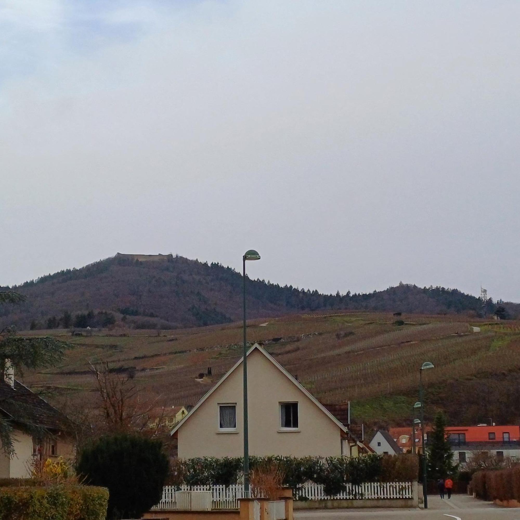 Les Vignobles D'Alsace Hotel Wintzenheim Buitenkant foto