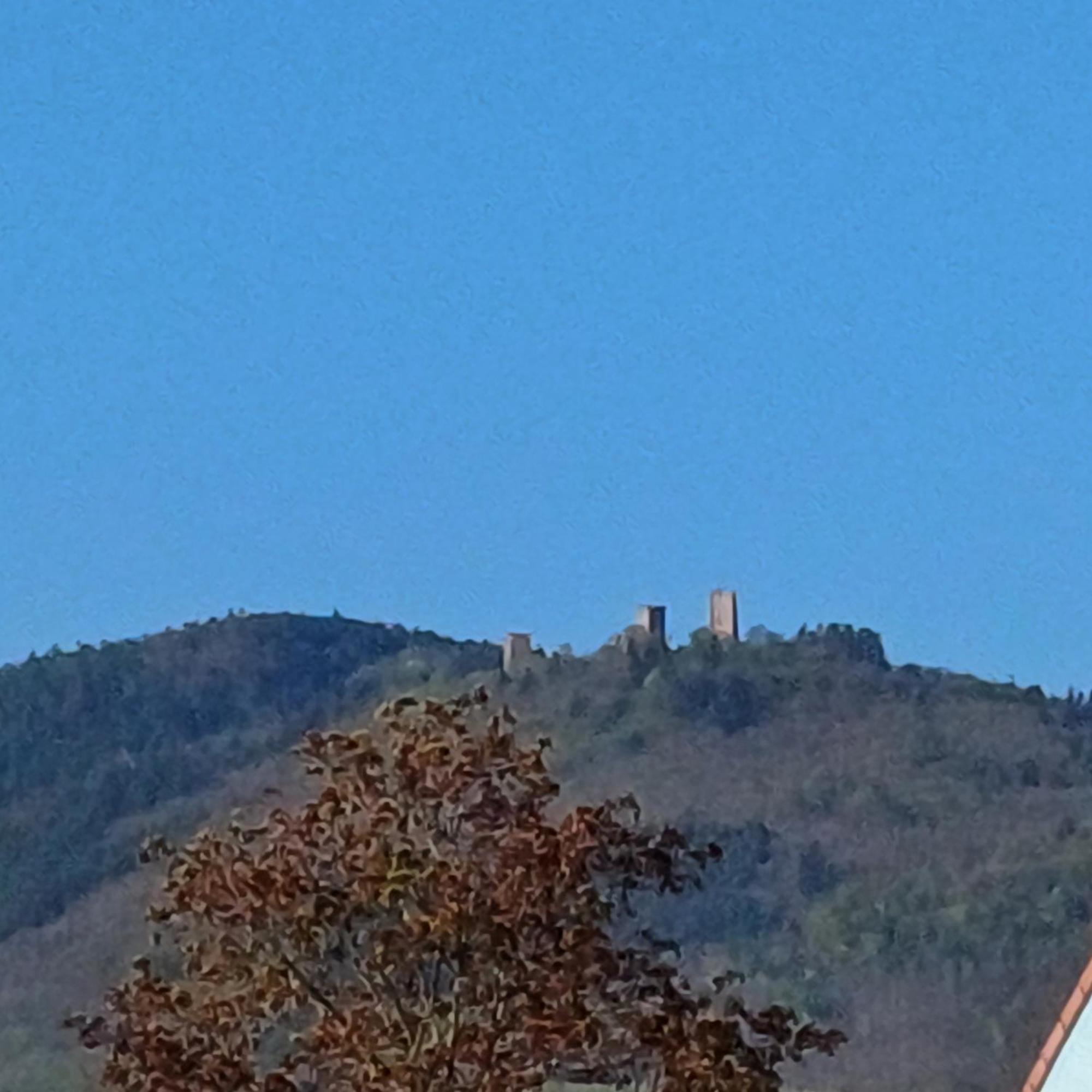 Les Vignobles D'Alsace Hotel Wintzenheim Buitenkant foto