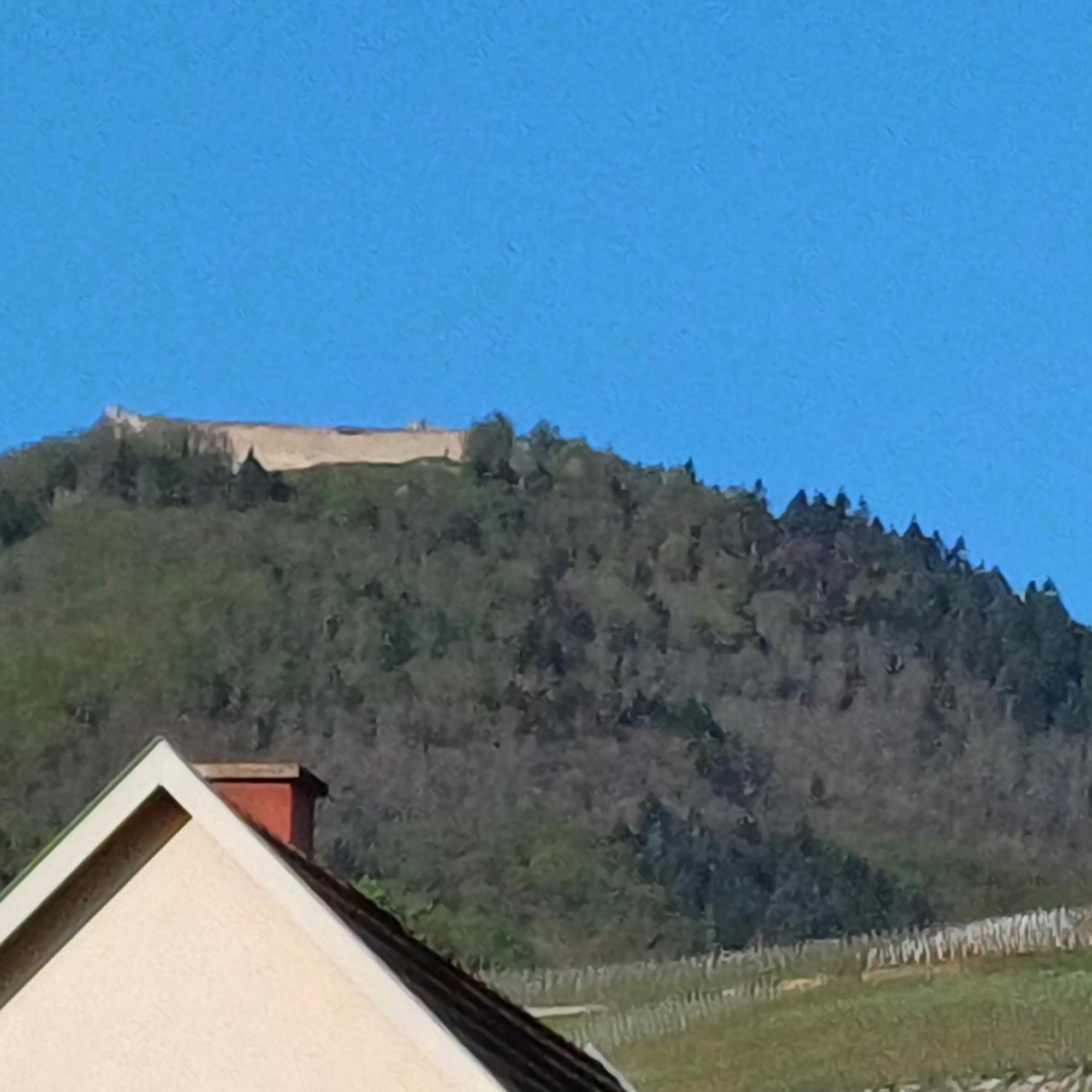 Les Vignobles D'Alsace Hotel Wintzenheim Buitenkant foto