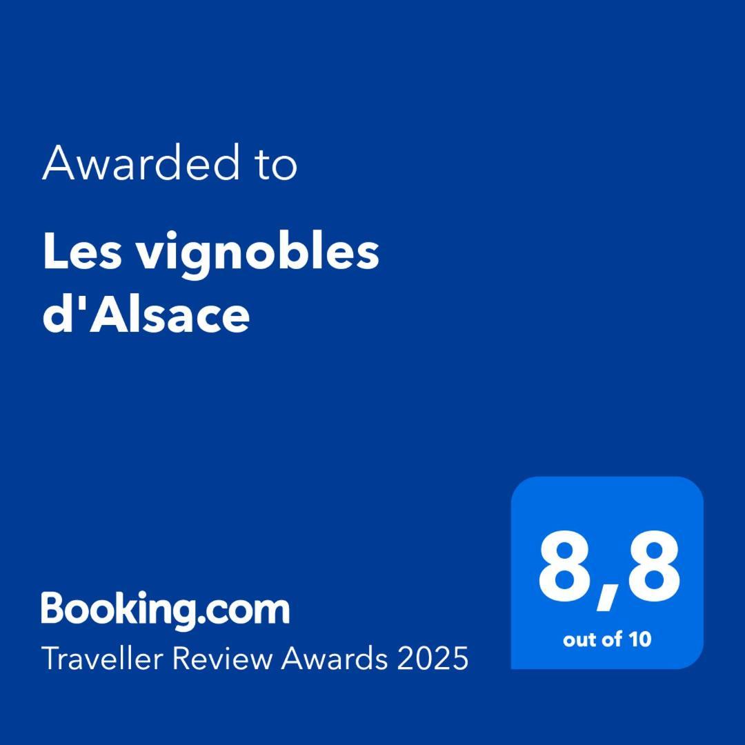 Les Vignobles D'Alsace Hotel Wintzenheim Buitenkant foto